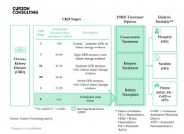 curzon consulting chronic kidney disease analysis