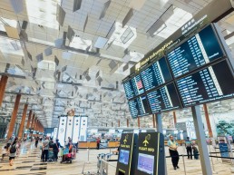 airport automation