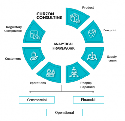 Curzon Consulting analytical framework cost optimisation